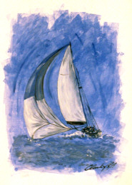 211 Das Segelboot